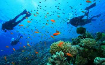 Popular Scuba Diving Destination in India Scuba Diving