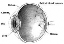 Symptoms of a damaged retina