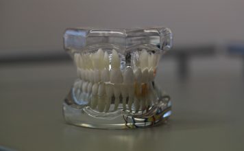dentistry-668214_1920