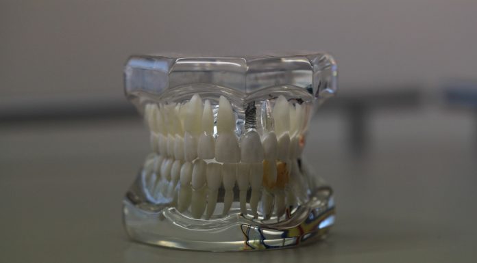 dentistry-668214_1920